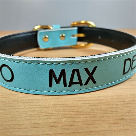 Essential Considerations for a Dog Collar Big