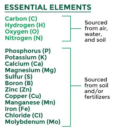 Essential Elements for Crop Success