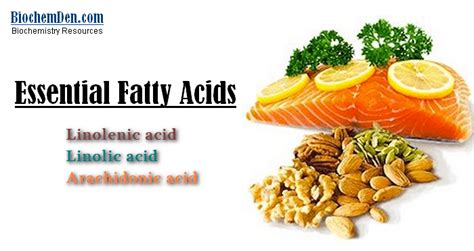 Essential Fatty Acids