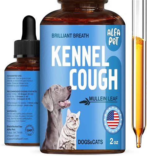 Essential Guide to Cough Medicine for Dogs: Types, Safety, and Effective Use