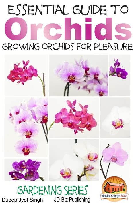 Essential Guide to Orchids Growing Orchids for Pleasure Kindle Editon