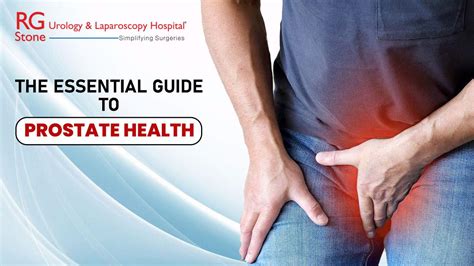 Essential Guide to Prostate Health PDF