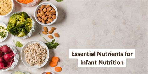 Essential Guide to Robinbaby1990: Enhancing Infant Nutrition and Well-being