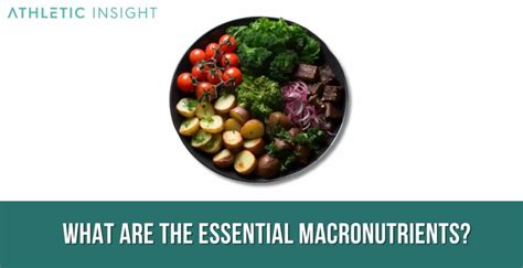 Essential Macronutrients for Jalapenos