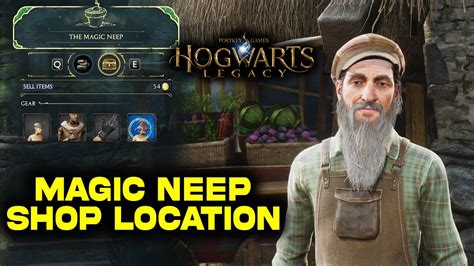 Essential Merchant Hub: The Magic Neep