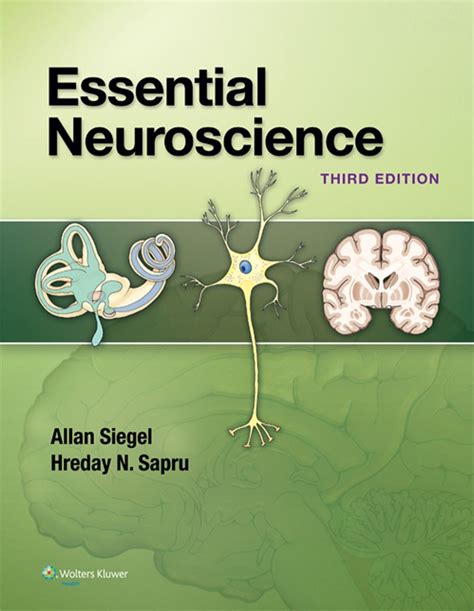 Essential Neuroscience Reader