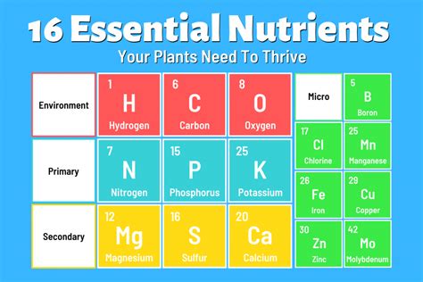 Essential Nutrients for Aquatic Plants