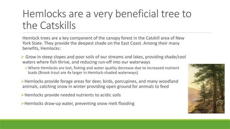 Essential Nutrients for Hemlock Trees