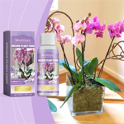 Essential Nutrients for Orchids: