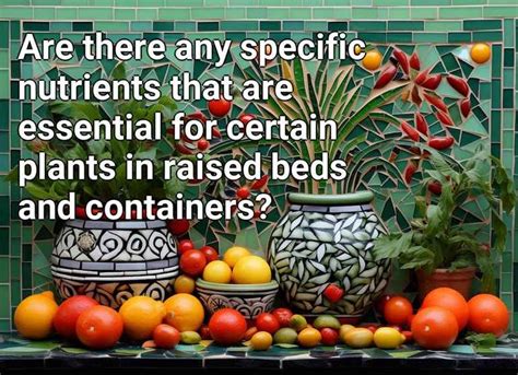 Essential Nutrients for Raised Bed Success