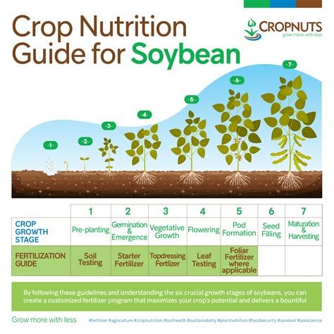 Essential Nutrients for Soybean Growth