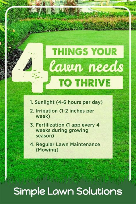 Essential Nutrients for a Thriving Lawn