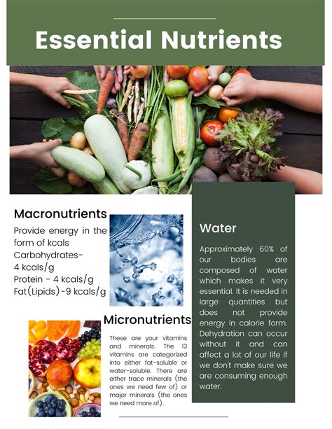 Essential Nutrients in Compound S