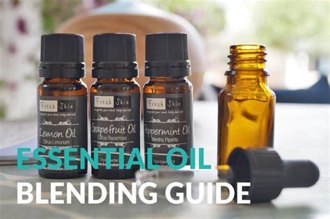 Essential Oil Carrier Oil: A Complete Guide to Blending