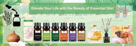 Essential Oil Shop Near Me: Your Guide to Aromatherapy's Haven