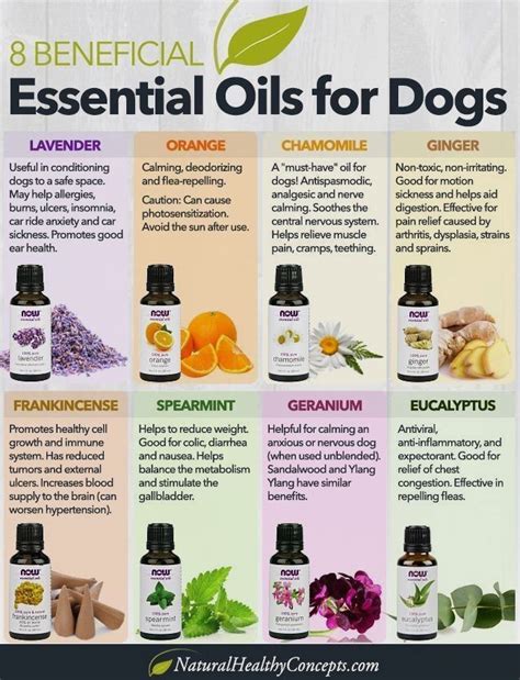 Essential Oils For Pets The Complete Guide to Safe and Natural Home Remedies for Your Dog or Cat Kindle Editon