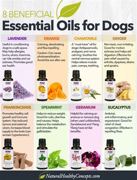Essential Oils for Pets Essential Oils for Dogs and Cats BOX SET Reader
