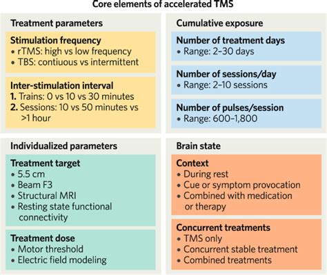 Essential TMs: The Core of Your Arsenal