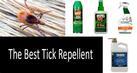 Essential Ticks Spray: A Defense Against Pesky Pests