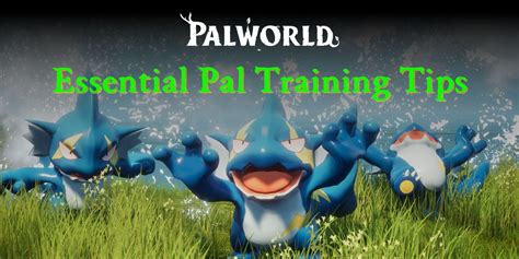 Essential Vendors for Every PalTrainer