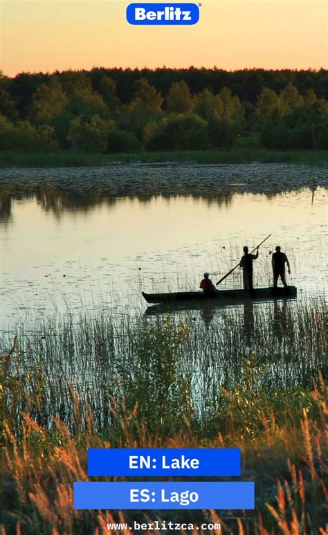 Essential Vocabulary for Lago en Ingles