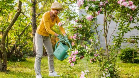 Essential Weigela Fertilizer Guide: Boosting Blooms in 5 Easy Steps