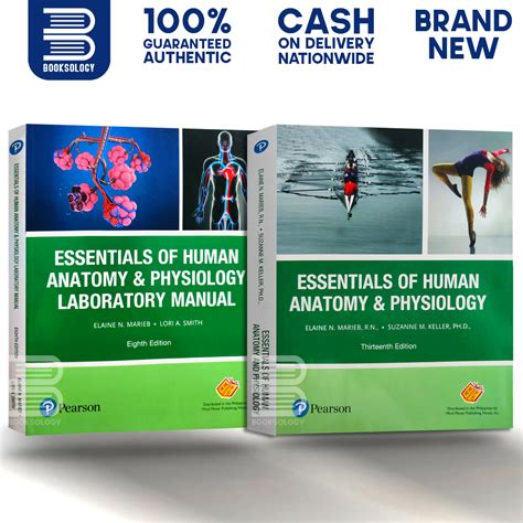 Essentials Of Human Anatomy And Physiology 7th Edition Answers Kindle Editon