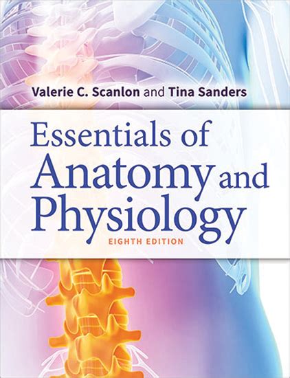 Essentials Of Human Anatomy And Physiology 8th Edition Answer Key Reader