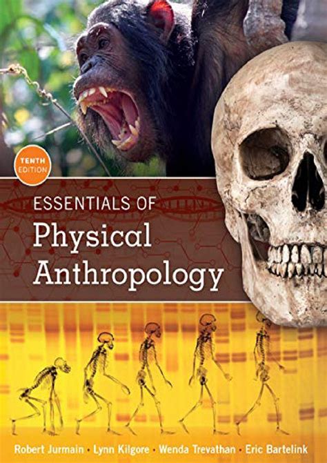 Essentials Of Physical Anthropology 9th Edition Pdf Doc