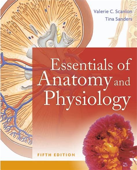 Essentials of Anatomy And Physiology Epub