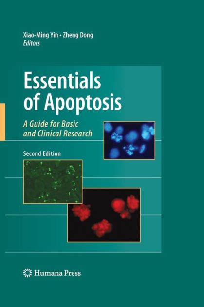 Essentials of Apoptosis A Guide for Basic and Clinical Research Doc