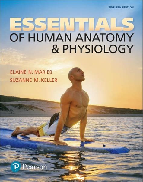 Essentials of Human Anatomy & Physiology 11th Edition Ebook Kindle Editon