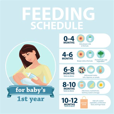 Establish a Feeding Schedule: