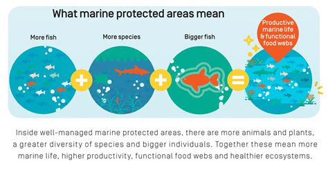 Establish marine protected areas (MPAs):