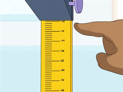 Estatura en Centímetros: A Comprehensive Guide to Height Measurement