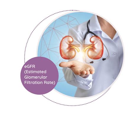 Estimated Glomerular Filtration Rate (eGFR)