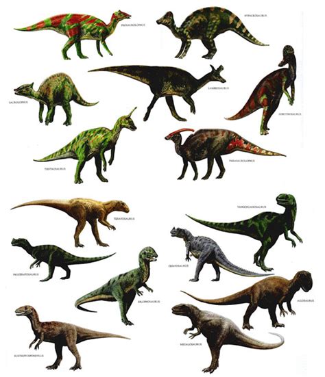 Estimated Number of Dinosaur Species Present: