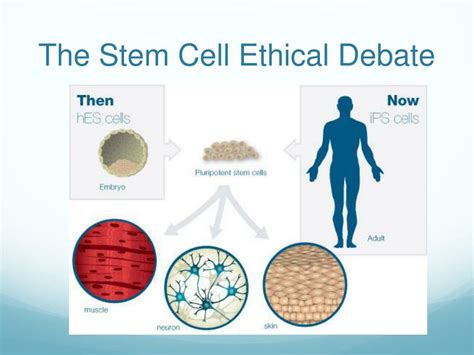 Ethical Issues In Human Stem Cell Research Epub