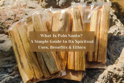 Ethically Sourced Palo Santo: A Guide to Protecting the Sacred