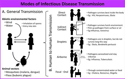 Etiology and Transmission: