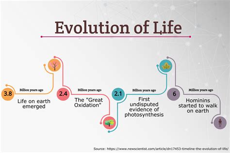 Etymology and Historical Evolution