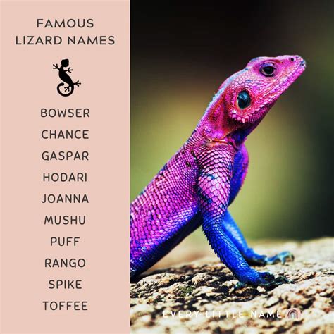 Etymology and Significance of Lizard Names