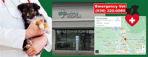 Eugene Animal Hospital - Your Trusted Partner in Pet Care