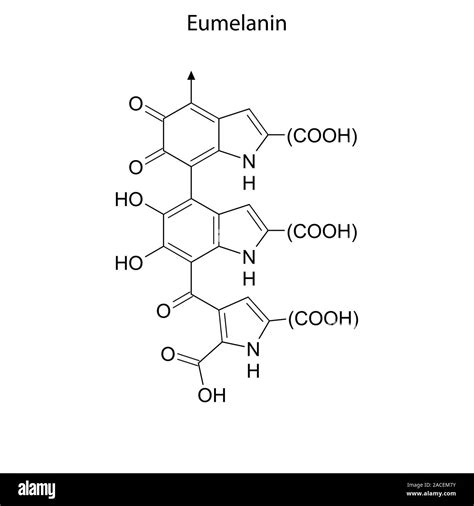 Eumelanin: