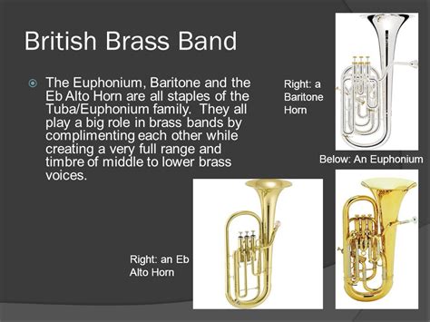 Euphonium: The Majestic Midrange Brass