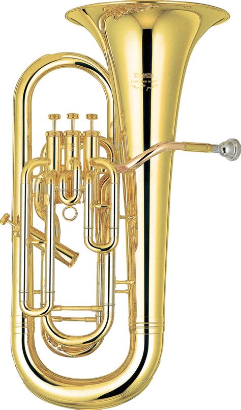 Euphonium: The Versatile Brass Instrument