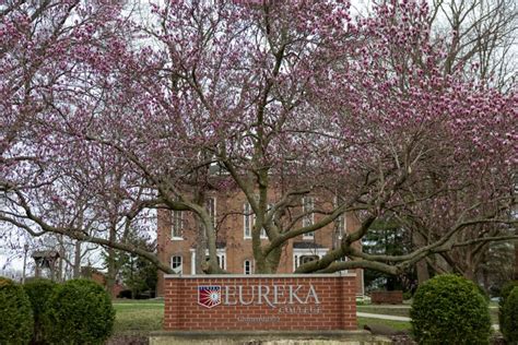 Eureka College Division: A Gateway to Academic Excellence