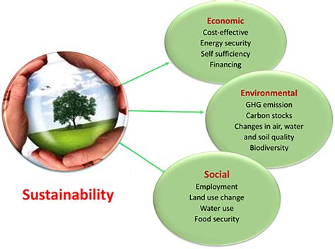 Evaluating Sustainable Development in the Built Environment Reader