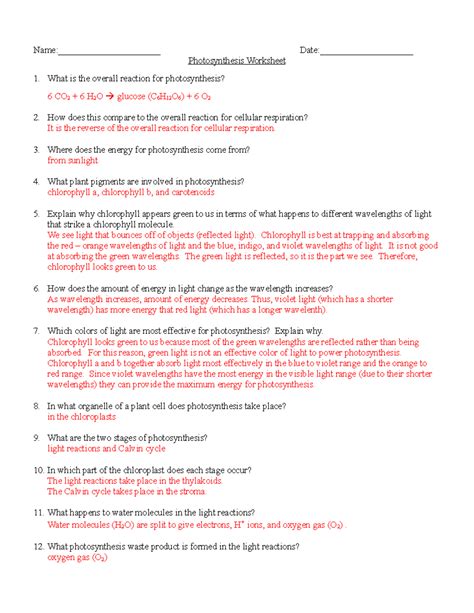 Evaluation Photosynthesis Answer Key Epub