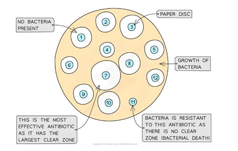 Evaluative Task Ocr Biology Peas Microbes Ebook Reader